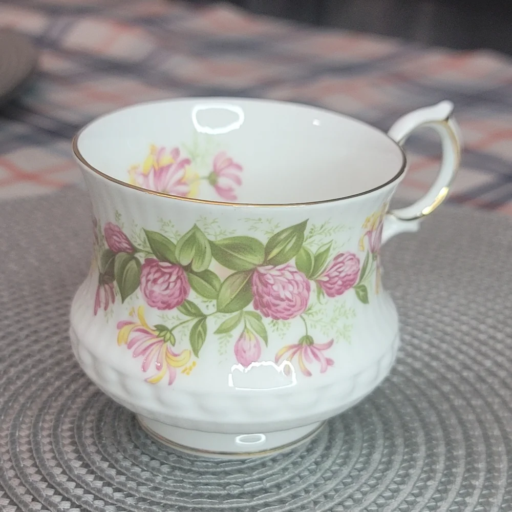 Vintage ROSINA English Cup - Picture 2 of 9